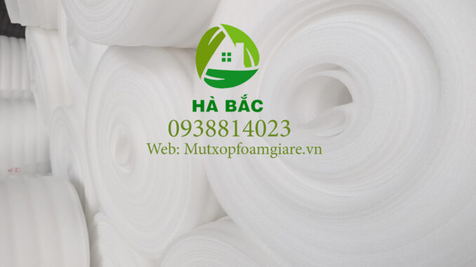 Cuon-foam-mm