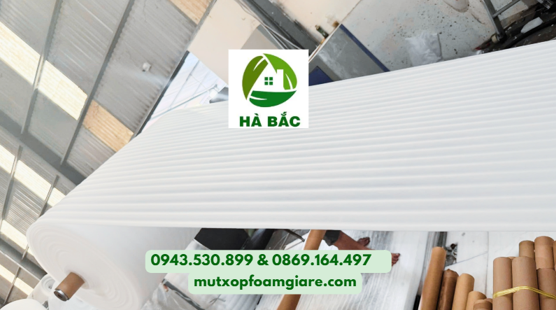 Tấm Xốp Lót Trái Cây 3mm Tại Đức Hoà, Long An Tấm xốp lót trái cây 3mm là sản phẩm được làm từ mút PE Foam dày 3mm, có sự đàn hồi, êm, nhẹ giúp bảo vệ bề mặt trái cây không bị trầy xước.