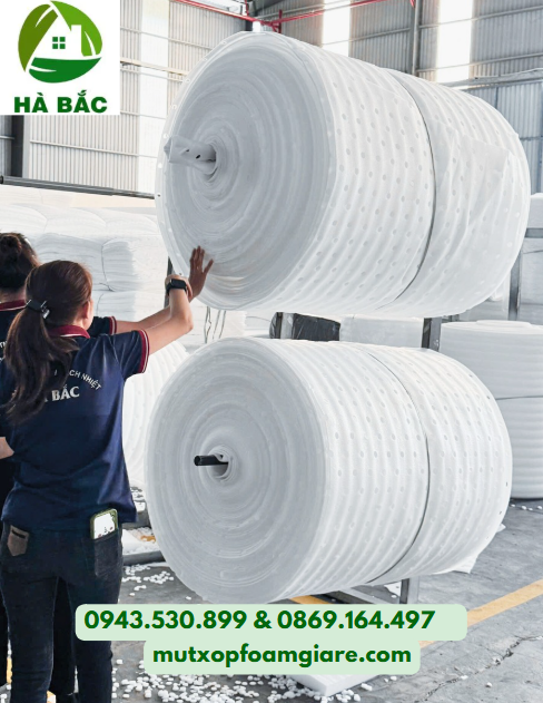 Tấm Xốp Lót Trái Cây 3mm Tại Đức Hoà, Long An Tấm xốp lót trái cây 3mm là sản phẩm được làm từ mút PE Foam dày 3mm, có sự đàn hồi, êm, nhẹ giúp bảo vệ bề mặt trái cây không bị trầy xước.