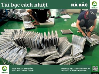túi xốp một mặt bạc